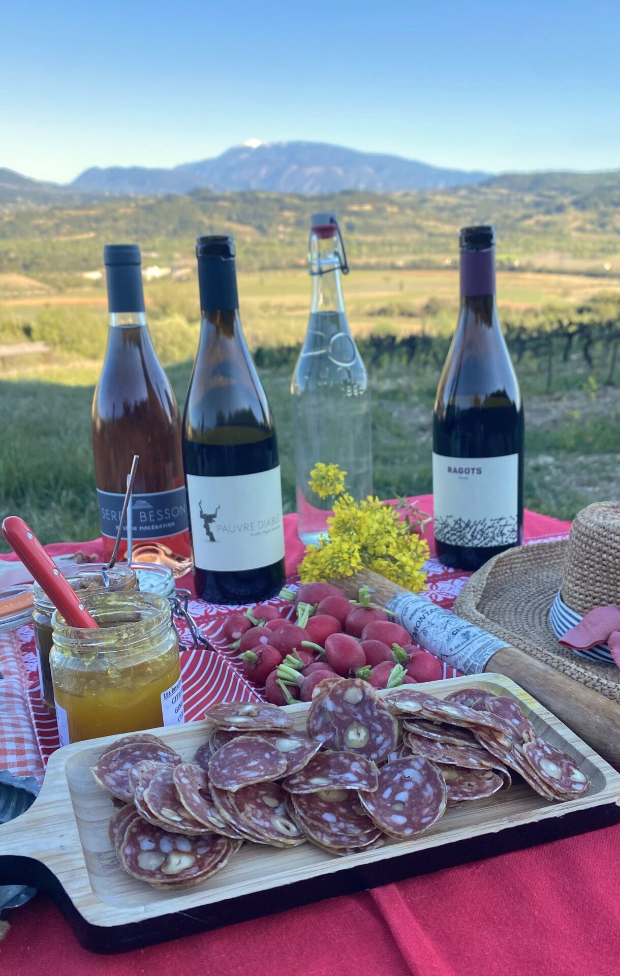 Youpi c'est Mercredi. 8è saison avec Victor et Xavier du domaine Serre Besson à Vinsobrse. Une soirée gourmande, joyeuse et hyper humaine en perspective, autour de deux vignerons au grand coeur.