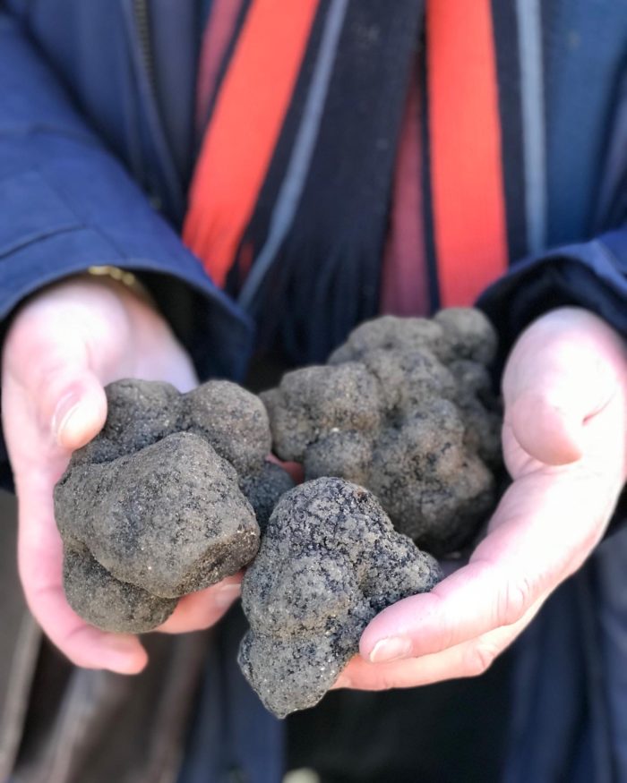 La journée truffée - The truffle tour – Image 73