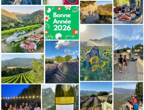 🤍 𝗣𝗼𝘂𝗿 𝘃𝗶𝘃𝗿𝗲 𝗵𝗲𝘂𝗿𝗲𝘂𝘅, 𝘃𝗶𝘃𝗼𝗻𝘀 𝗽𝗲𝗿𝗰𝗵𝗲́𝘀 !🤍